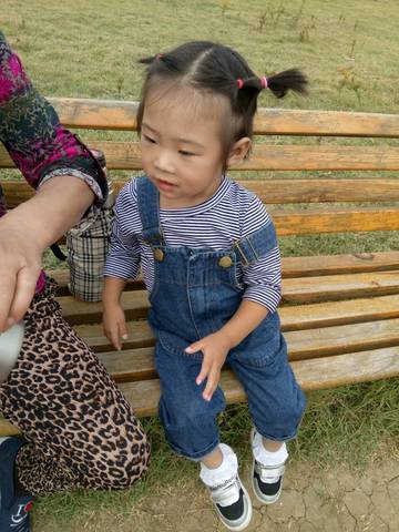 journal_insert_pic_595330503