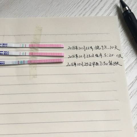 journal_insert_pic_596724061
