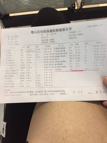journal_insert_pic_596737986