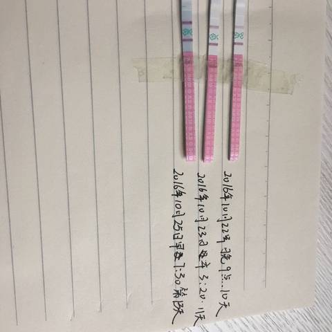 journal_insert_pic_597345143