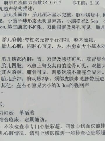 journal_insert_pic_598087574