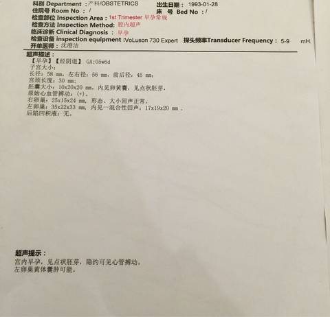 journal_insert_pic_598702398