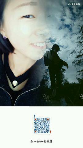 journal_insert_pic_599404205
