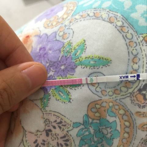 journal_insert_pic_600169630
