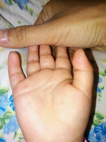 journal_insert_pic_600188939