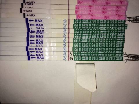 journal_insert_pic_600510378