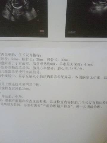 journal_insert_pic_600580283