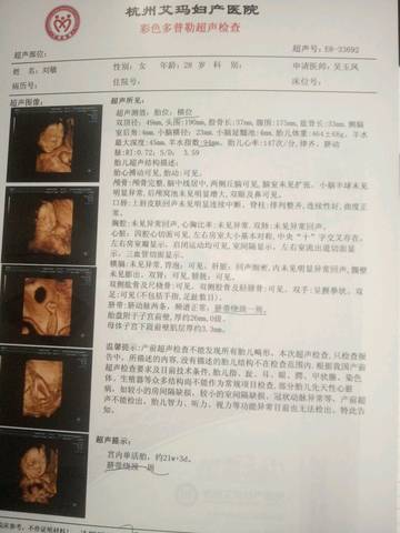 journal_insert_pic_601219094