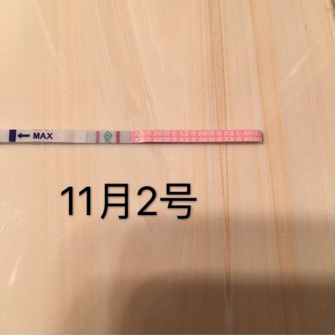 journal_insert_pic_601938591