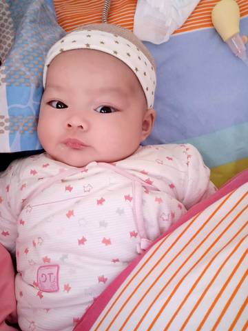 journal_insert_pic_602093553