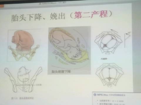 journal_insert_pic_602743437