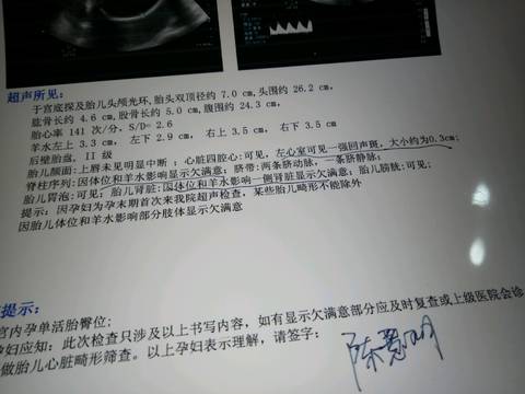 journal_insert_pic_603594981