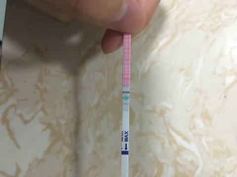 journal_insert_pic_604744377