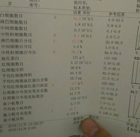 journal_insert_pic_605346251