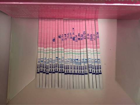 journal_insert_pic_605877815
