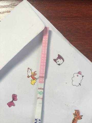 journal_insert_pic_606781056
