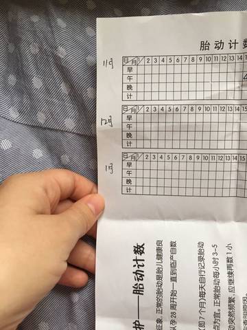 journal_insert_pic_609610857