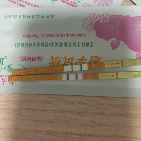 journal_insert_pic_609891778