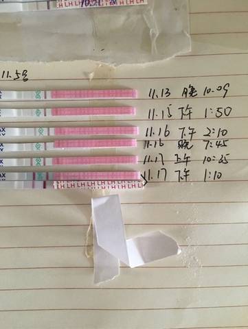journal_insert_pic_610308005