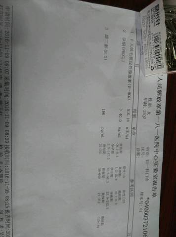 journal_insert_pic_610492061