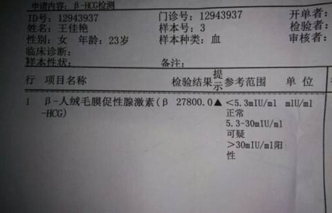 journal_insert_pic_611031113