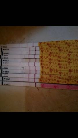 journal_insert_pic_611593862