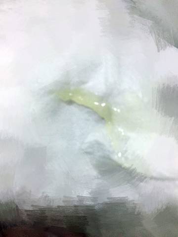 journal_insert_pic_612299833