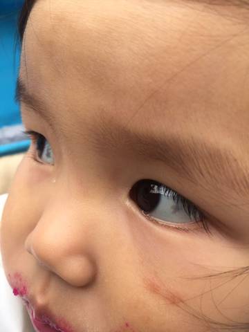 journal_insert_pic_612239784