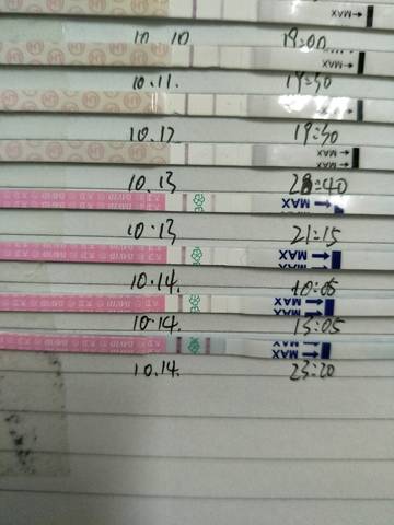 journal_insert_pic_612809961