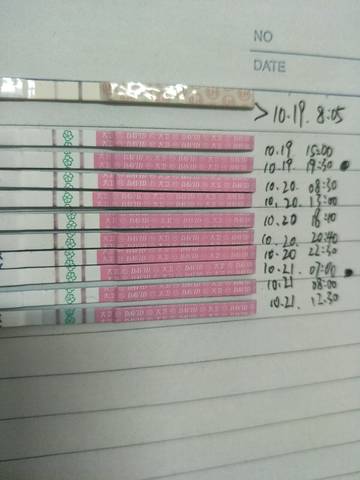 journal_insert_pic_612809887