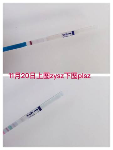 journal_insert_pic_612450001