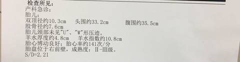 journal_insert_pic_612823474