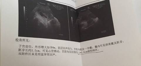 journal_insert_pic_613124702