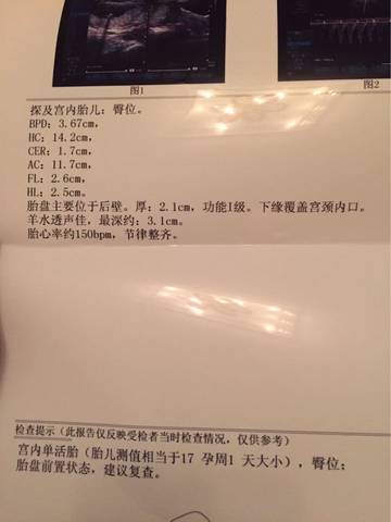 journal_insert_pic_613263074