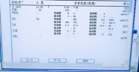journal_insert_pic_613044931