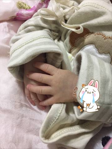journal_insert_pic_614095324