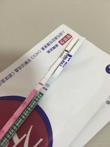 journal_insert_pic_614704449