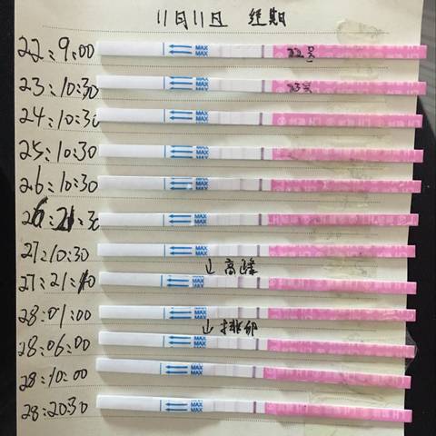 journal_insert_pic_616635890