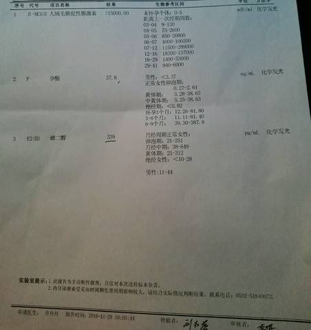 journal_insert_pic_617137565