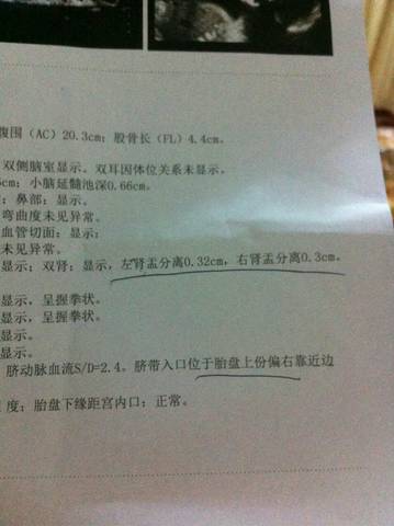 journal_insert_pic_617160634