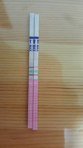 journal_insert_pic_617951085