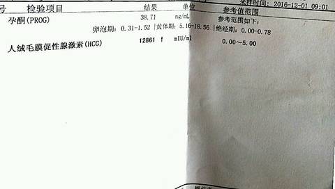 journal_insert_pic_618205695