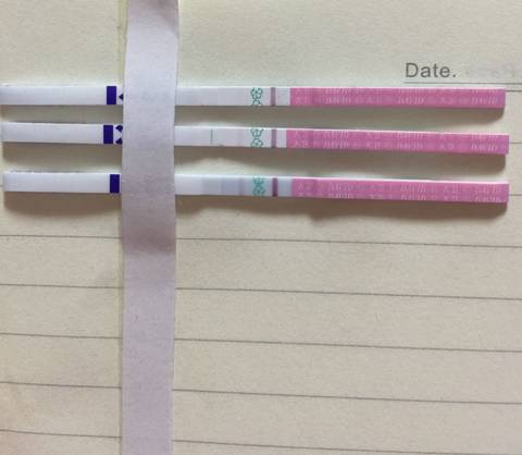 journal_insert_pic_618995176