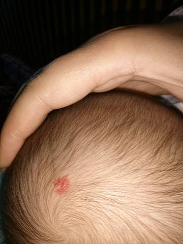 journal_insert_pic_620869373