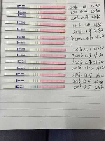 journal_insert_pic_620756197