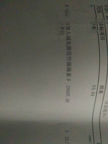 journal_insert_pic_620963869