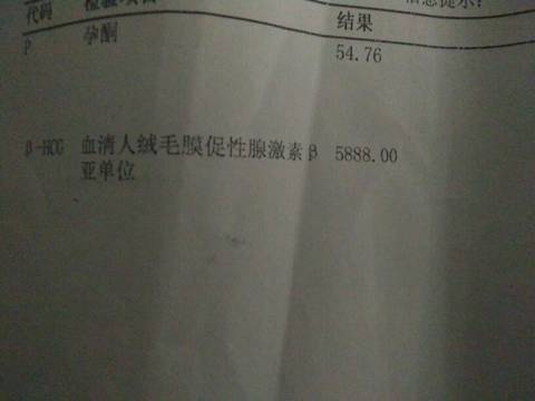 journal_insert_pic_620963854