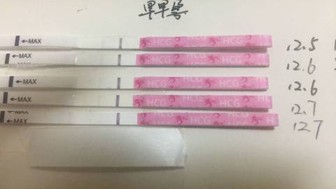 journal_insert_pic_621889521