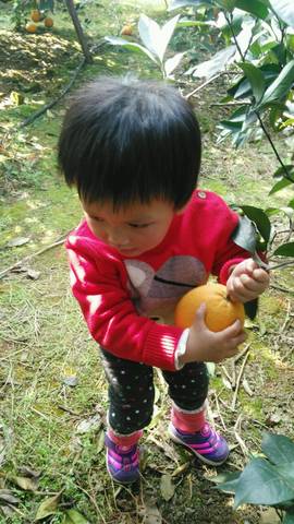 journal_insert_pic_622027282