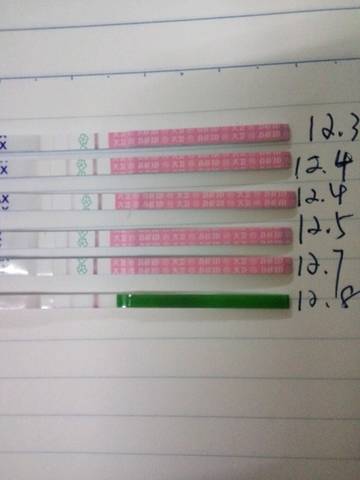 journal_insert_pic_622477785